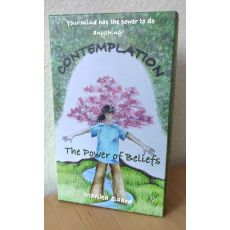 Stíšenie_ Sila presvedčenia